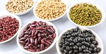 Chemie potravin: Bílkoviny v potravinách Jaké potraviny obsahují bílkoviny